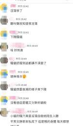 色群招收色男騷女_色群招收色男騷女_0