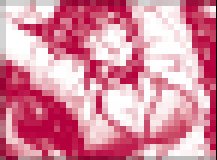 天使居住的地方