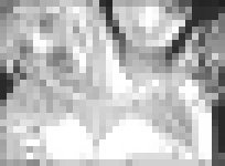 綱手墮落的願望