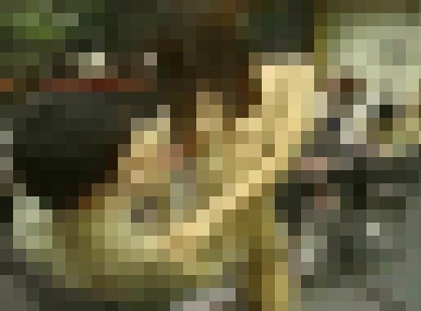 南部某家全裸理容院