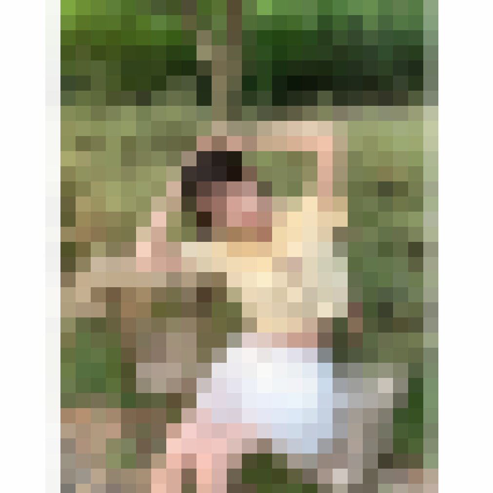 台北約妹賴966757或TG:ey866 小隻馬清純學生妹來惹 淳淳 155cm C 40 19歲_北部茶訊/樓鳳