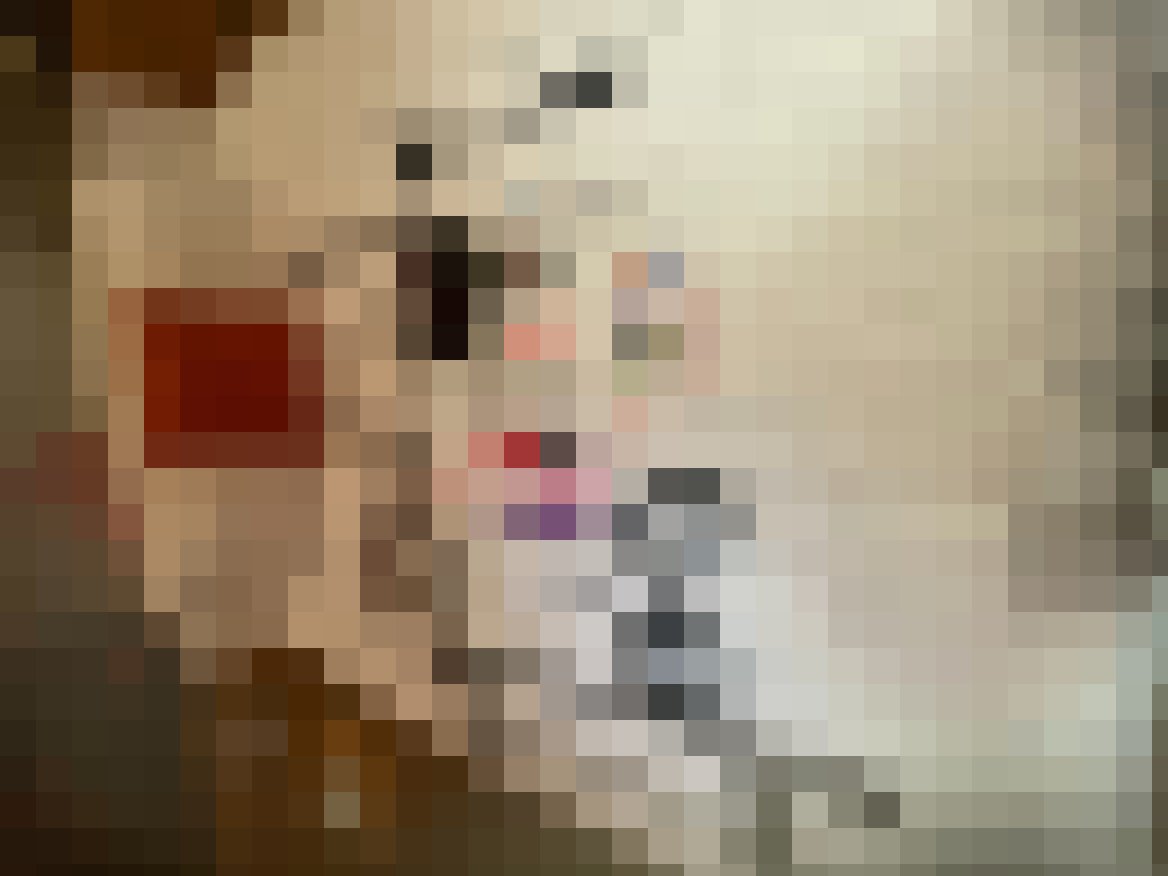 我是認真的~認養母狗~性情乖巧~可接受調教_北部聊聊性事