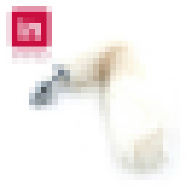 最近買了很多情趣玩具（含尾巴）_中部聊聊性事