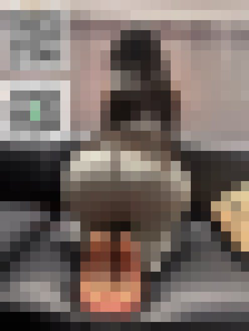 Gleezy:sk3826艾拉166cm 48kg D+奶 24歲 #窮人的女神 #富人的精盆 #性感尤物_北部茶訊/樓鳳