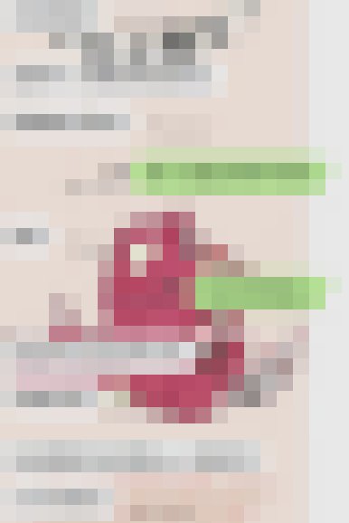 台灣正妹情報局賴658773  紅牌客評_北部茶訊/樓鳳