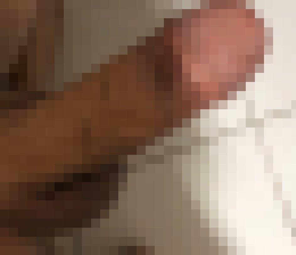台中西屯_中部聊聊性事
