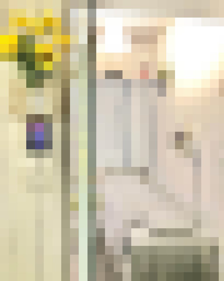 台中個人工作室：加我賴：0958862678_中部茶訊/樓鳳