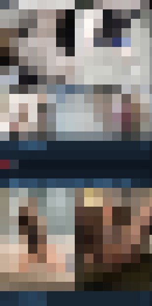 [Telegram色群]分享一個白嫖的素人外流影片群!_Telegram群老司機色群