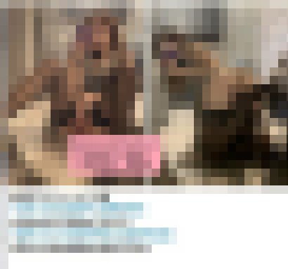 Gleezy賬號kk9003外貌服務都在線の內衣麻豆極品美胸正妹_北部茶訊/樓鳳