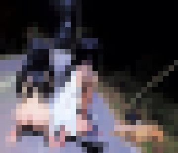 <a href=