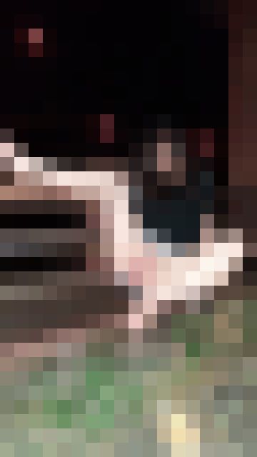 <a href=