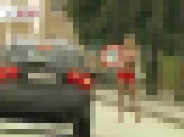 <a href=