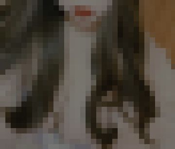 <a href=