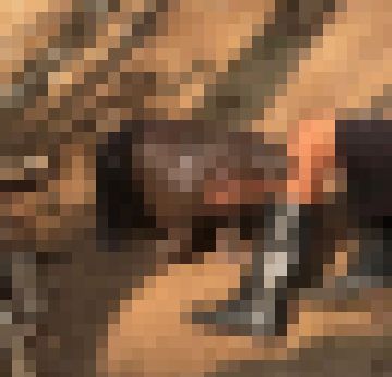<a href=