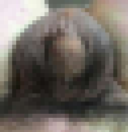 ㄐㄐ這樣會太小嗎？_ㄐㄐ這樣會太小嗎？_7