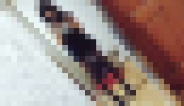 我的大頭貼_&nbsp;_0