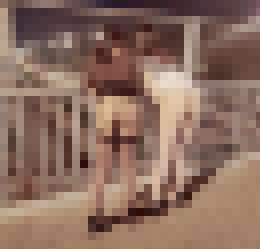 ++推特私人外流.互換群