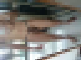 自拍肉棒_桃園人，喜歡玩露出跟自拍肉棒，歡迎跟我聯絡_1