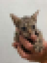 我的大頭貼__0