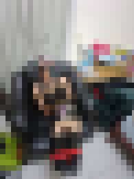 收費！！！偽娘姐姐缺錢啦！！！_收費！！！偽娘姐姐缺錢啦！！！_2