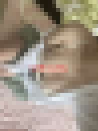 大奶淫蕩少婦+茶妹_大奶淫蕩少婦+茶妹_4