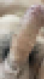 勇猛的肉棒_勇猛的肉棒_5