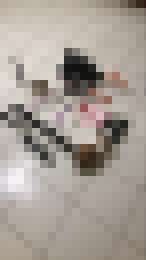 環與項圈和暴露_環與項圈和暴露_0