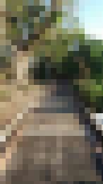 下午開完會的小散步~__10